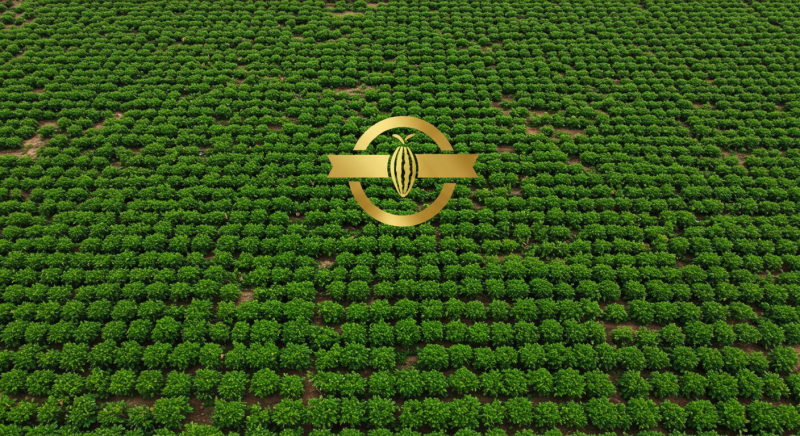 Trademark Protection for Nigerian Agricultural Products