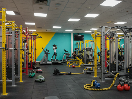 Attracting Investors to Health and Wellness Business in Nigeria