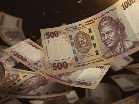 investing in the Nigerian stock market